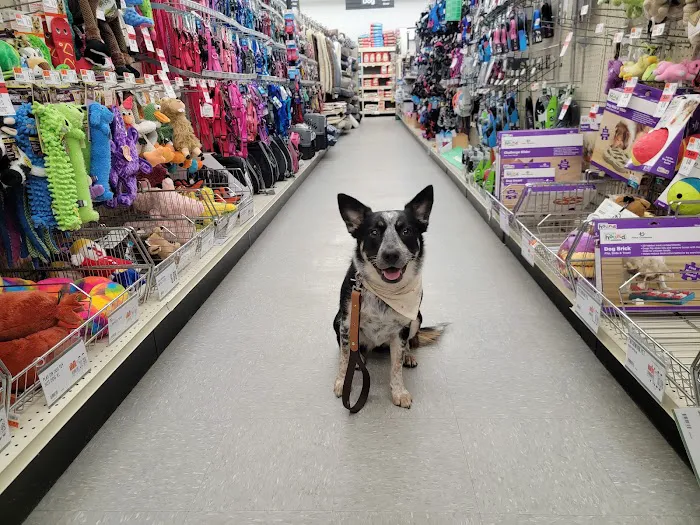 Pet Supplies Plus Oxford Picture 9