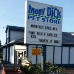 Moby Dick Pet Store Inc