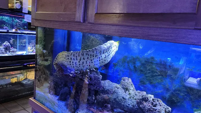 Moby Dick Pet Store Inc Picture 3