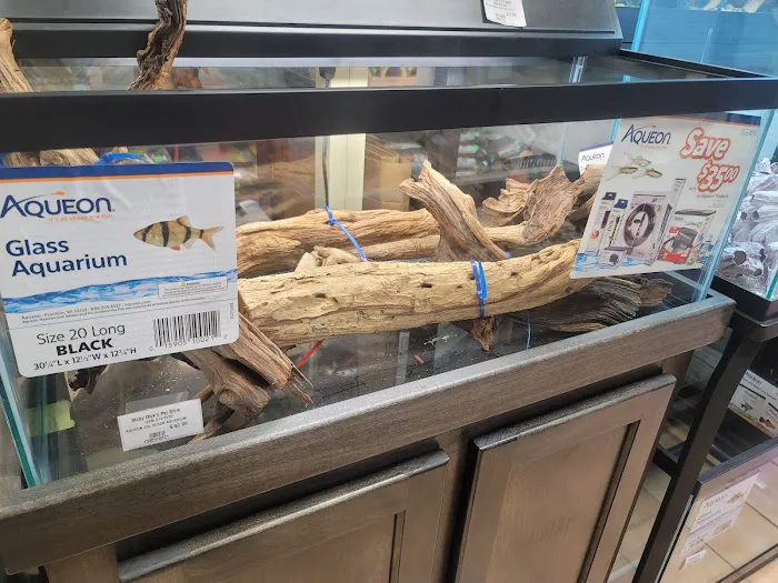 Moby Dick Pet Store Inc Picture 6
