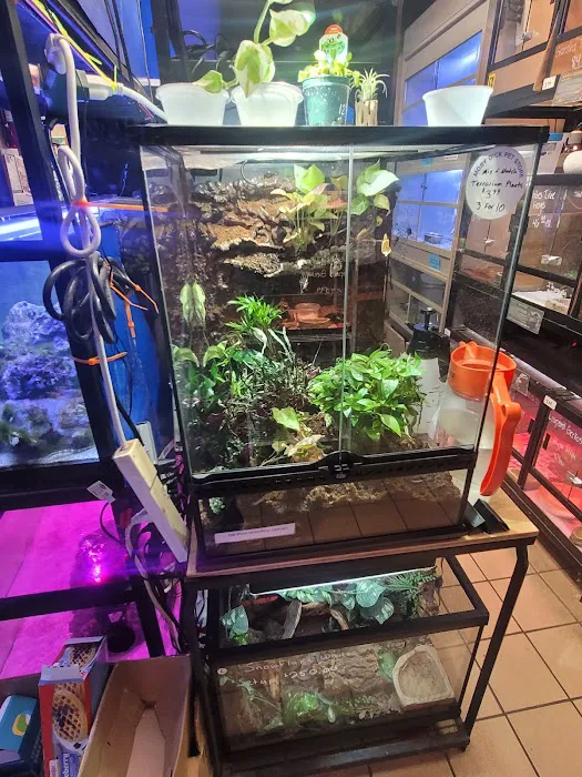 Moby Dick Pet Store Inc Picture 8