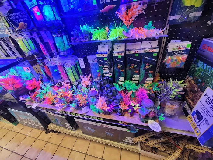 Moby Dick Pet Store Inc Picture 5