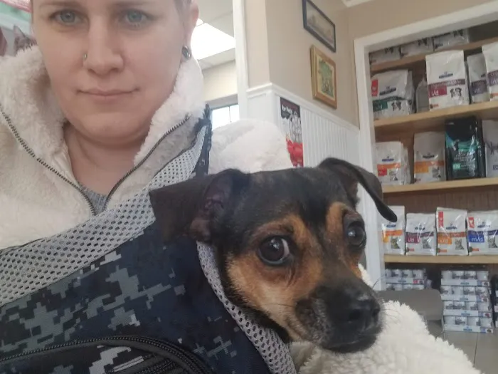 Metuchen Veterinary Hospital Picture 2