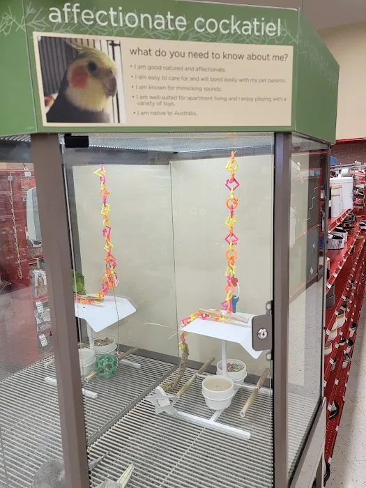 Petco Picture 1