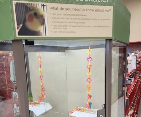 Petco