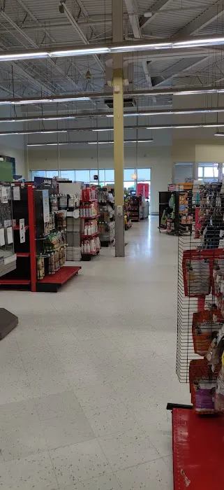 Petco Picture 6