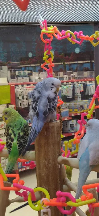 Petco Picture 5