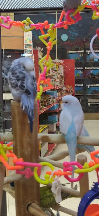 Petco Picture 3