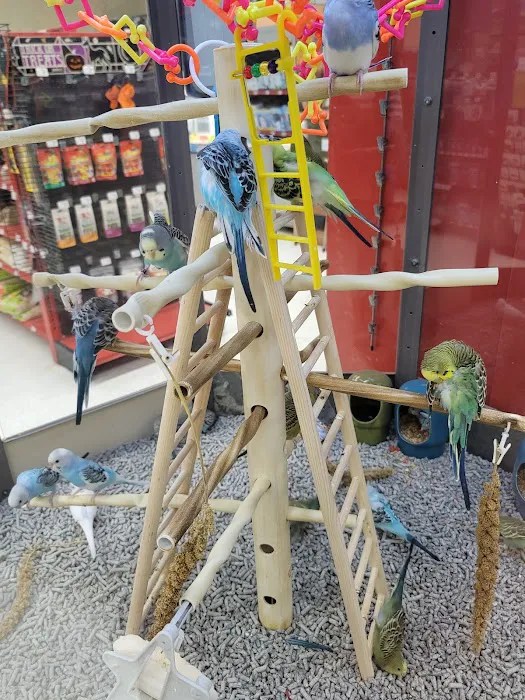 Petco Picture 2