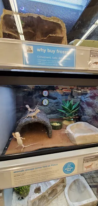 Petco Picture 4