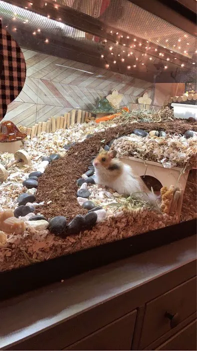 Pet Haven Picture 10
