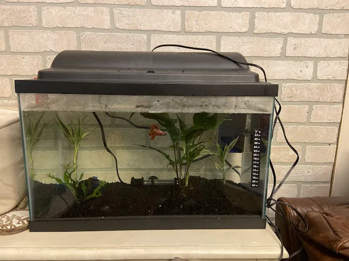 Pet Haven Picture 8