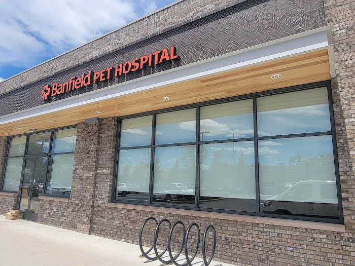 Banfield Pet Hospital Picture 6