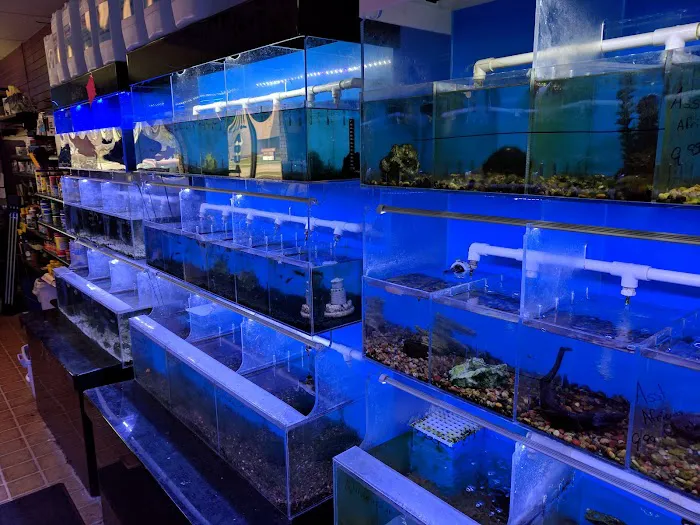 Atlantis Fish Shoppe Picture 3
