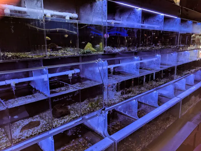 Atlantis Fish Shoppe Picture 4