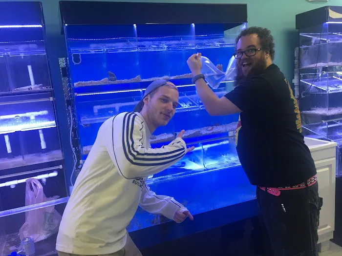 Atlantis Fish Shoppe Picture 10