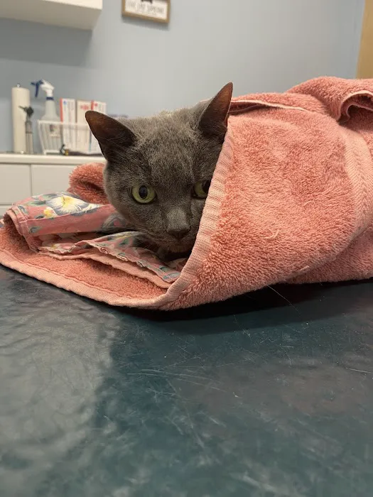 Oak Tree Animal Clinic Picture 1
