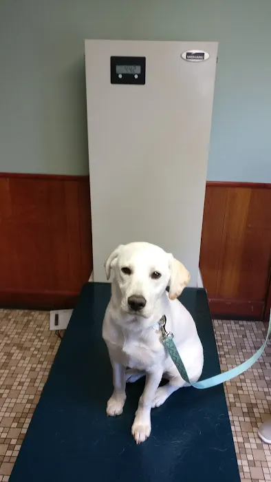 Oak Tree Animal Clinic Picture 5