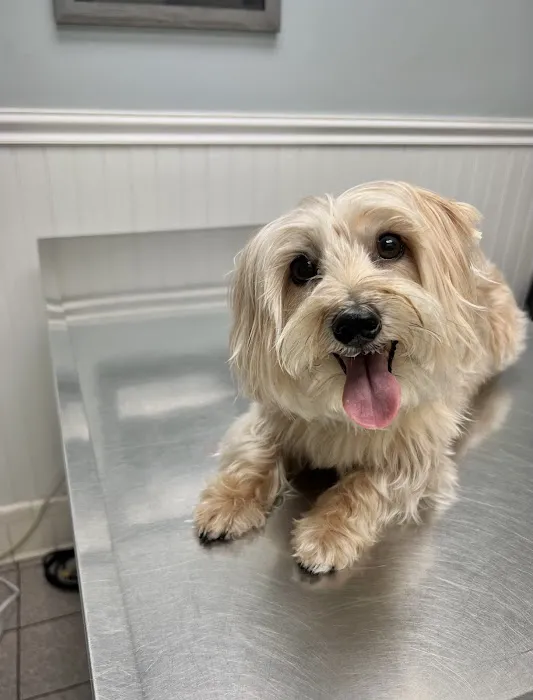 Valley Veterinary Hospital Picture 7