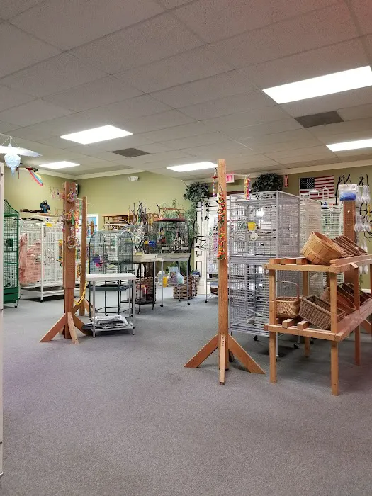 Parrotzville The Bird Store/ surrender Picture 8
