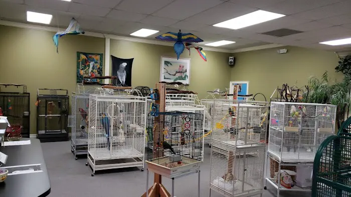 Parrotzville The Bird Store/ surrender Picture 10