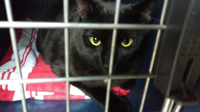 Millburn Veterinary Hospital Picture 3
