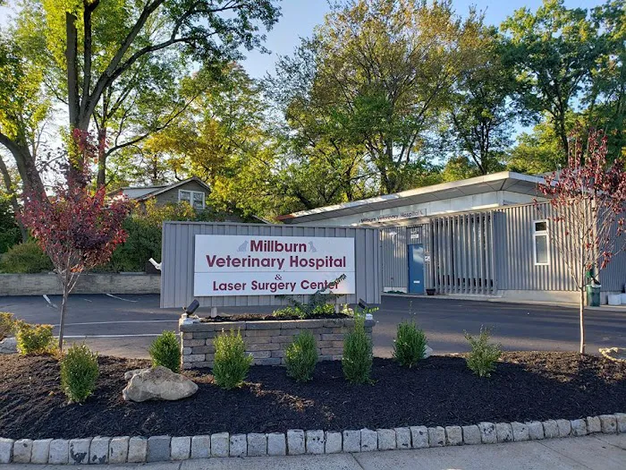 Millburn Veterinary Hospital Picture 7