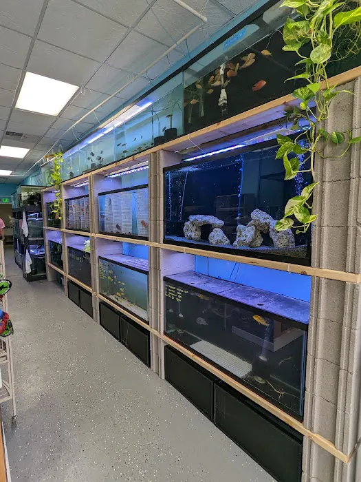 Chris's Pet Store Picture 1