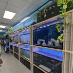 Chris's Pet Store