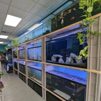 Chris's Pet Store ico