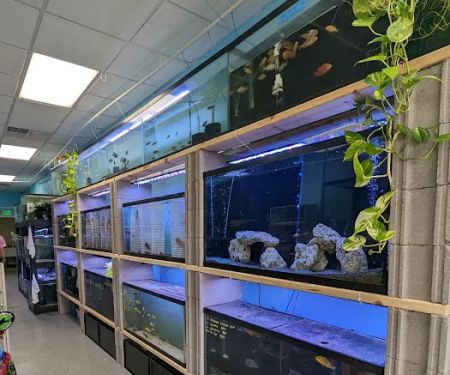 Chris's Pet Store