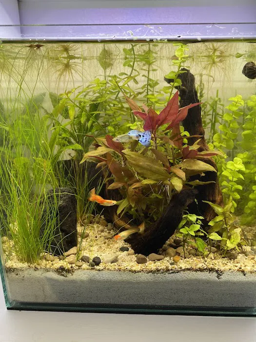 Chris's Pet Store Picture 7