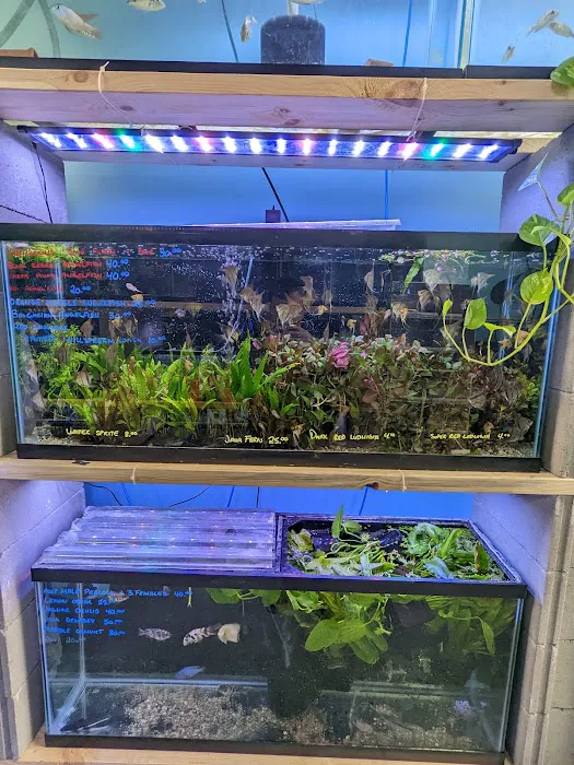 Chris's Pet Store Picture 3