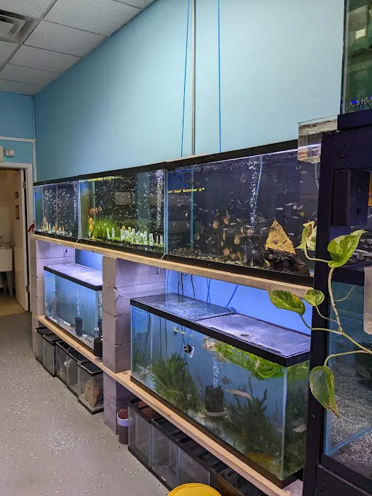 Chris's Pet Store Picture 4