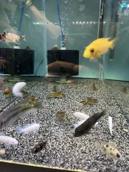 Chris's Pet Store Picture 9