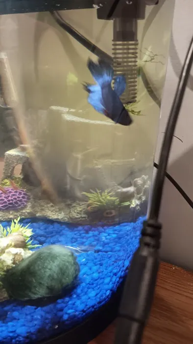 Chris's Pet Store Picture 8
