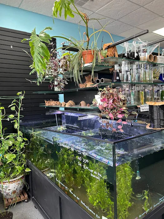 Chris's Pet Store Picture 10