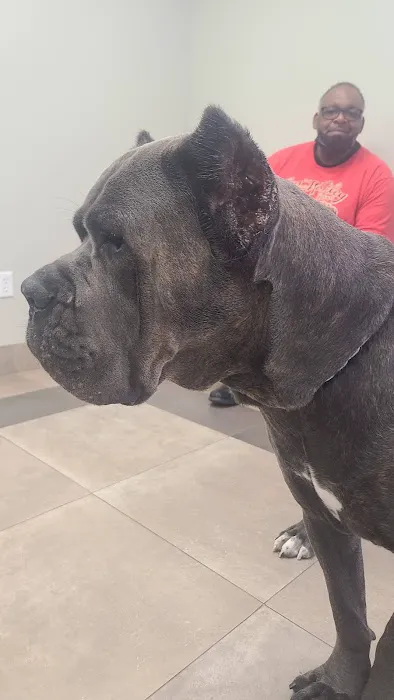 Fanwood Animal Hospital Picture 7