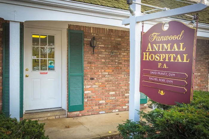 Fanwood Animal Hospital Picture 5