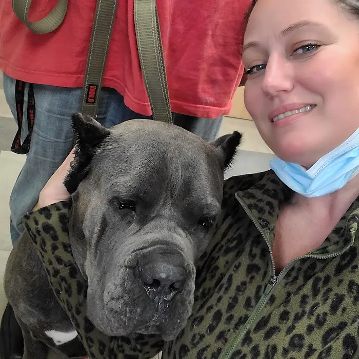 Fanwood Animal Hospital Picture 6