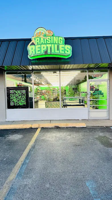 Raising Reptiles Picture 1