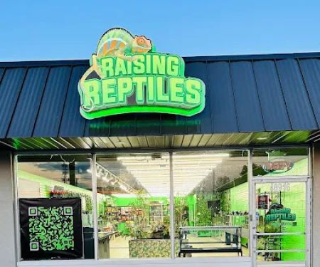 Raising Reptiles