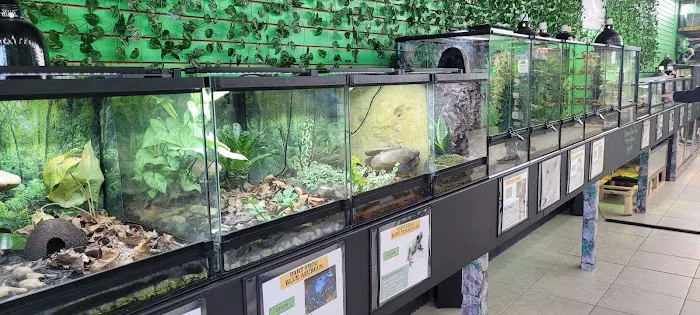 Raising Reptiles Picture 2