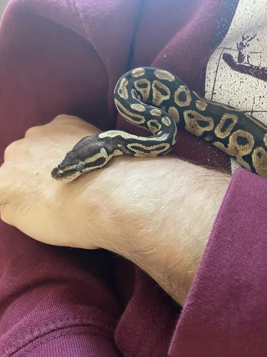 Raising Reptiles Picture 10