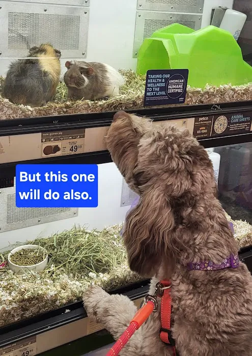 Petco Picture 6