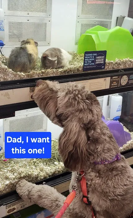 Petco Picture 5