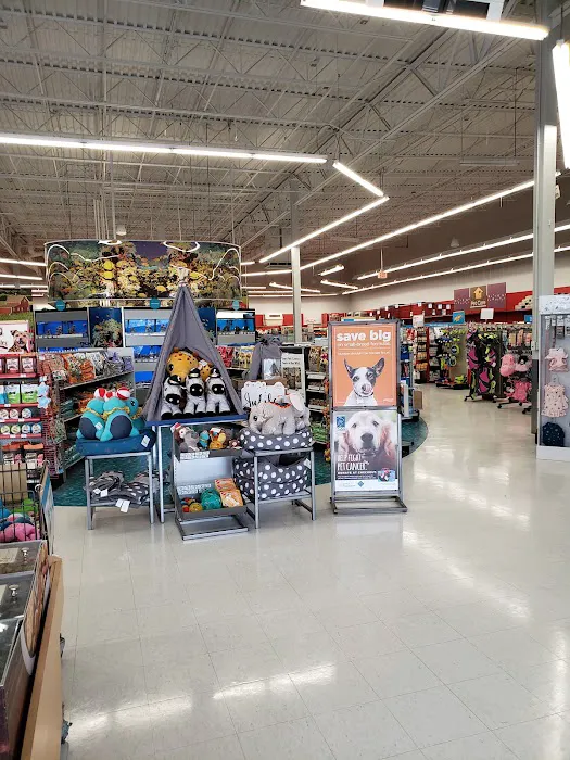 Petco Picture 10