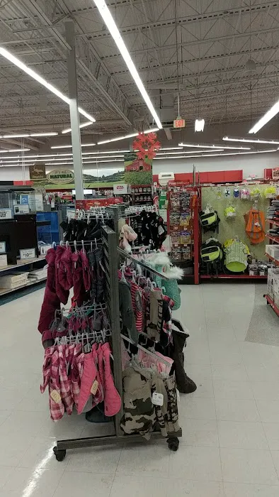 Petco Picture 3