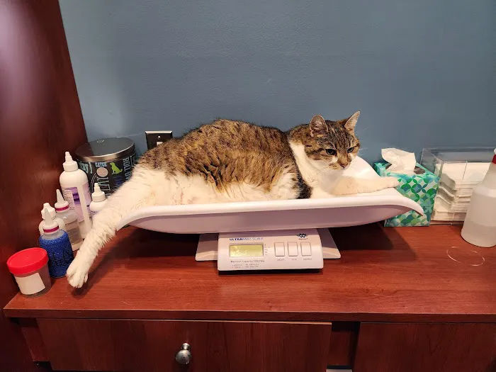 Chariho Animal Hospital Picture 6