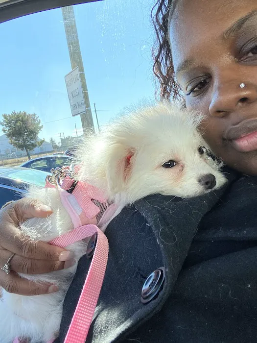 Michigan House of Paws Picture 4
